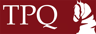 turkish-policy-logo
