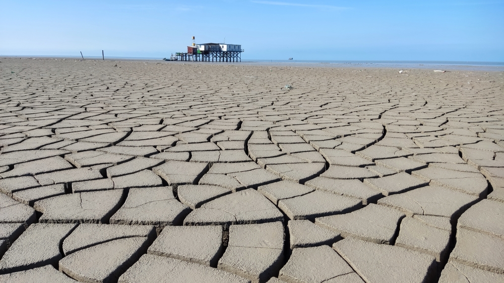 The,dry,shore,of,the,caspian,sea